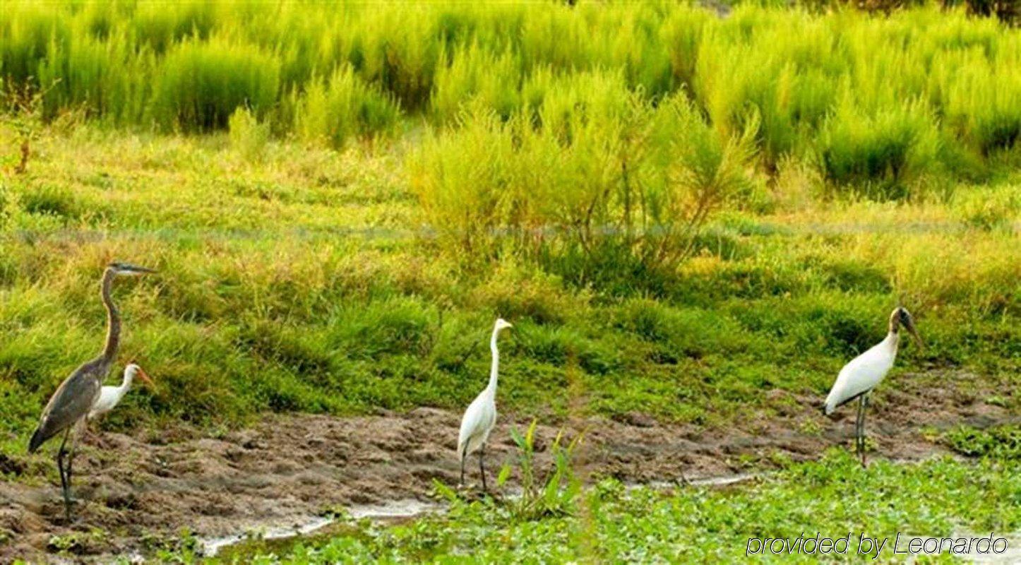 Hampton Inn Okeechobee - Lake Okeechobee Bagian luar foto