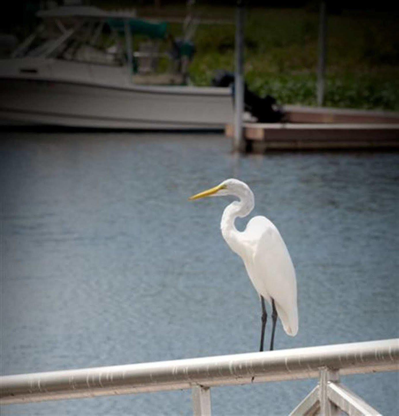 Hampton Inn Okeechobee - Lake Okeechobee Bagian luar foto