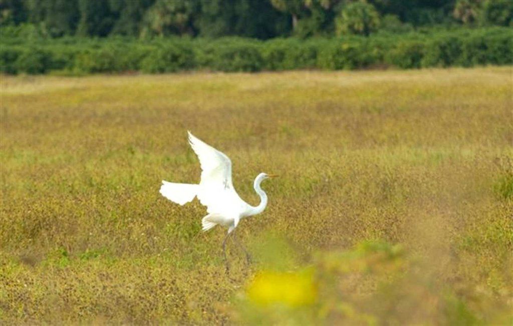 Hampton Inn Okeechobee - Lake Okeechobee Bagian luar foto